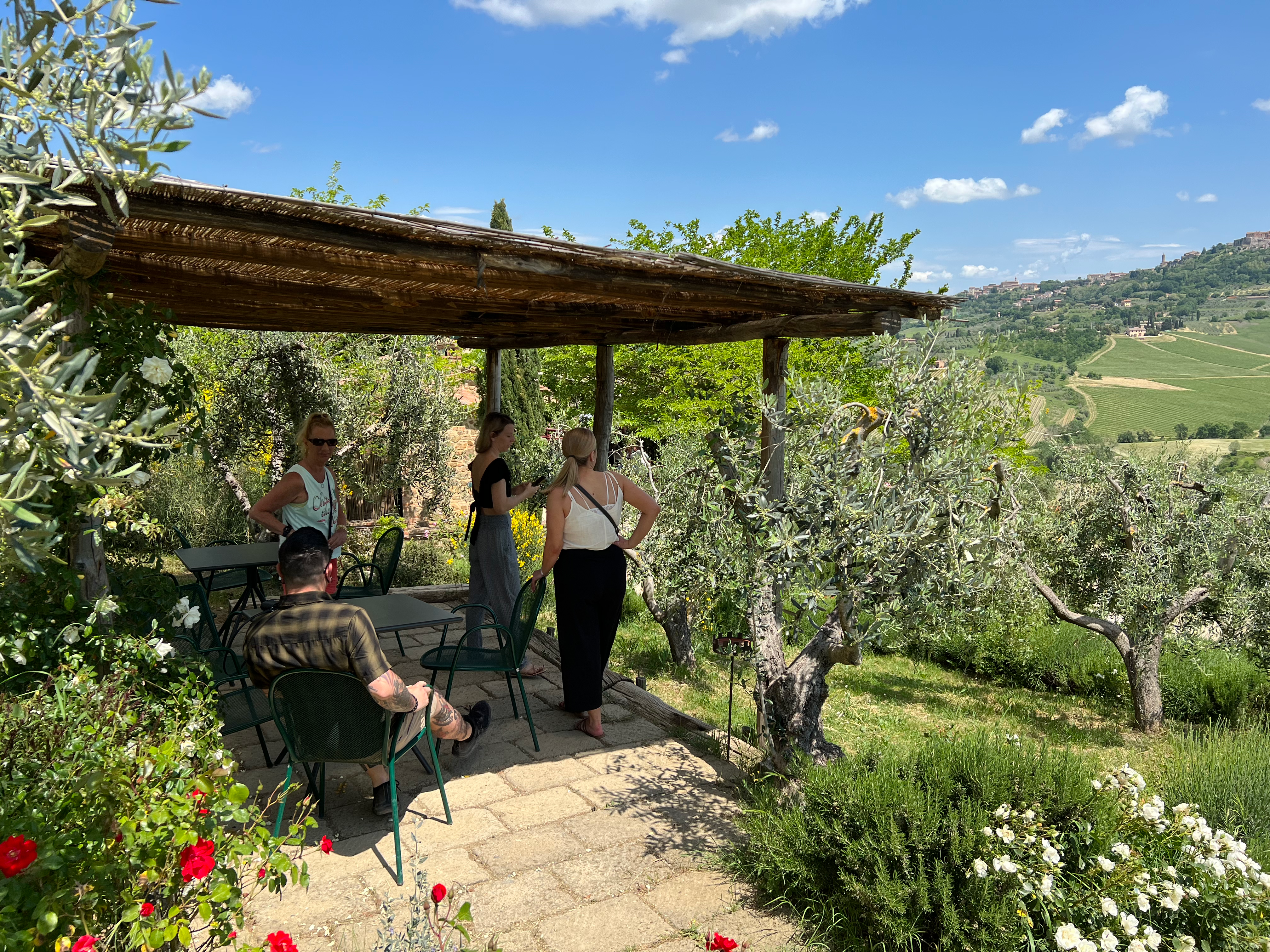 Patio hillside view